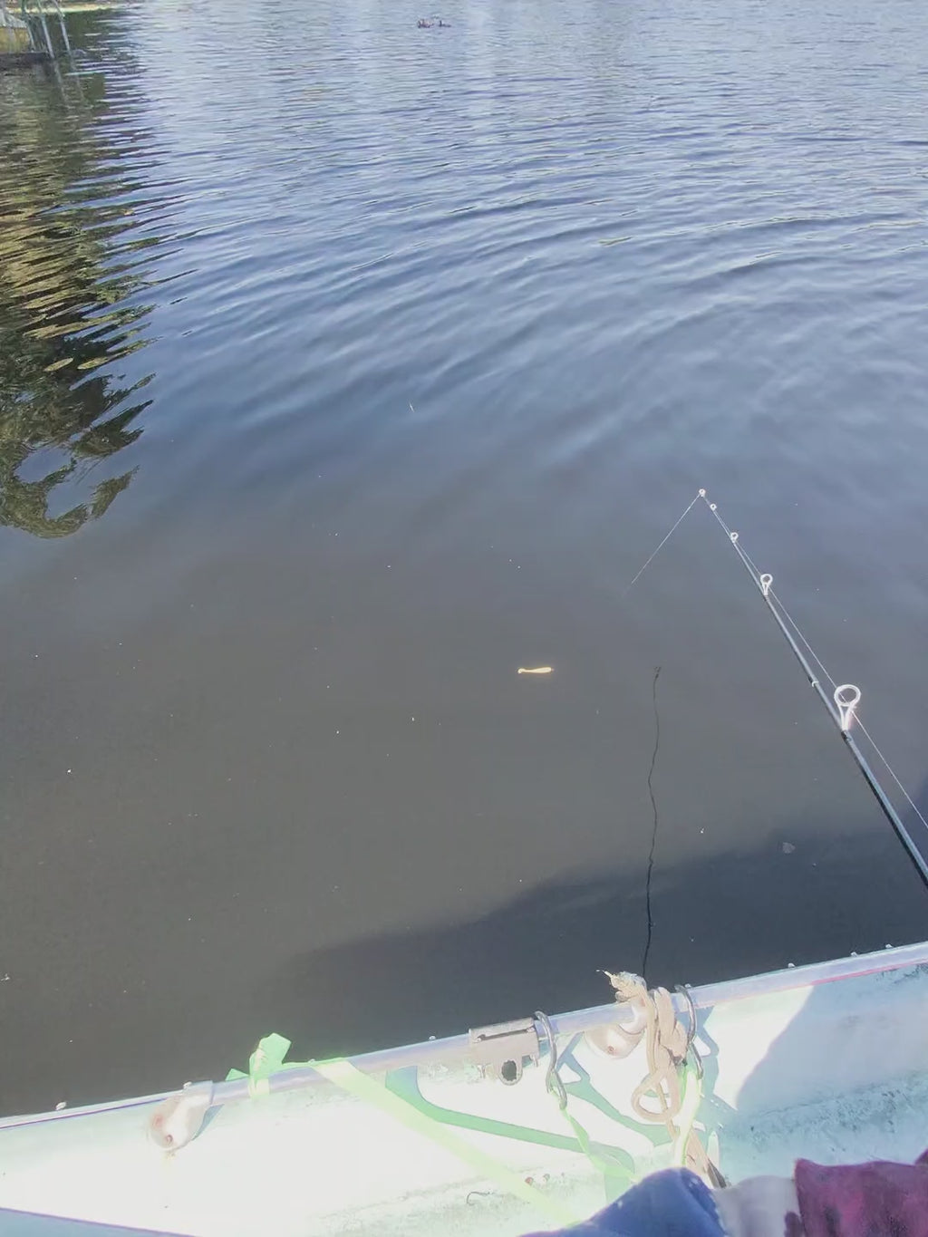 Ghost Creek 3.5 in paddle tail